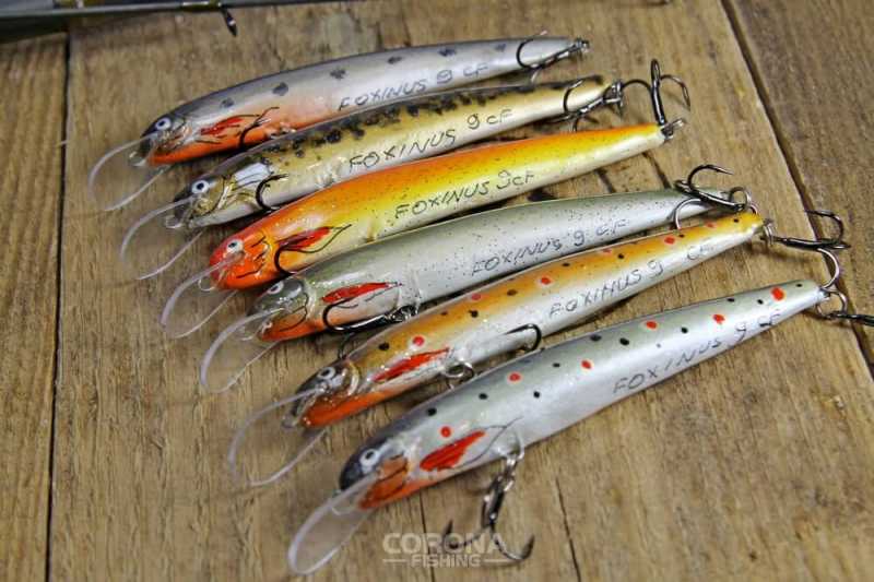 najlepsze woblery na dużego pstrąga